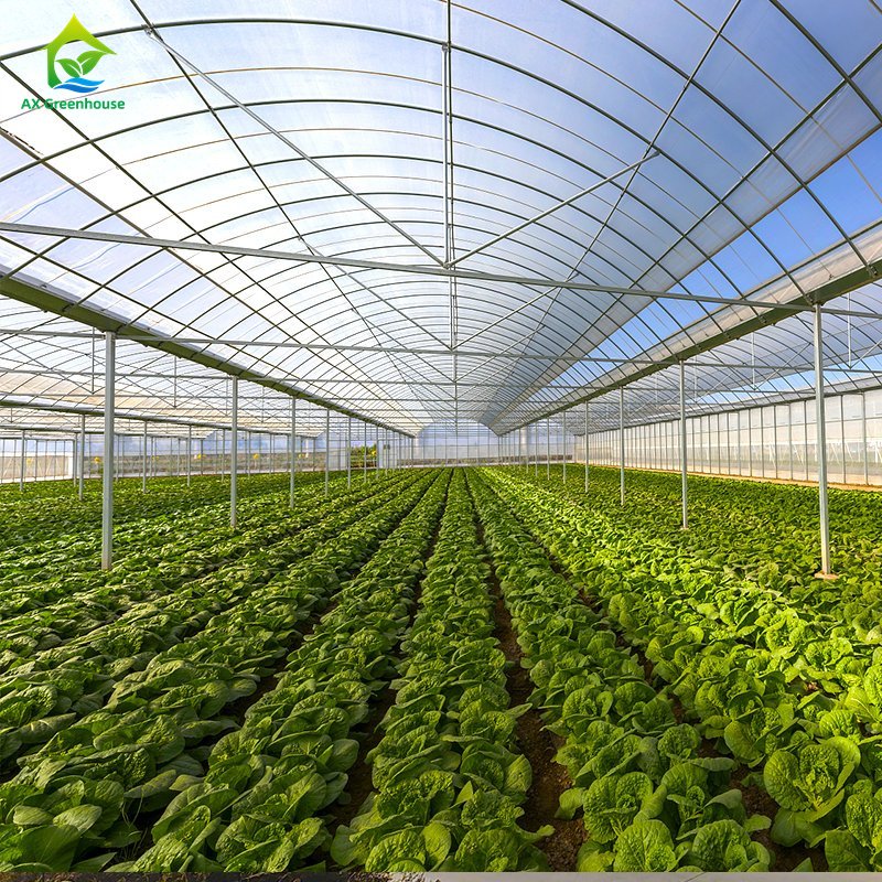 Hot Selling Multi-span UV Resistant Plastic PE Film Low Cost Polytunnel Agriculture Hothouse Tomato Greenhouse serre agricole