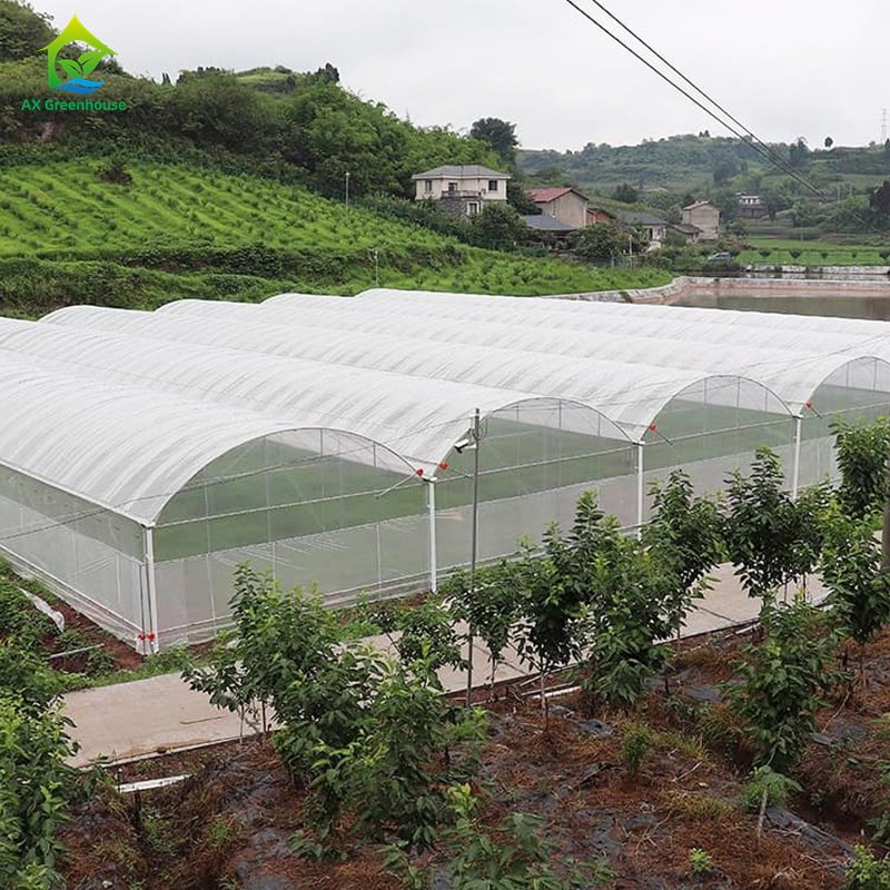 Hot Selling Multi-span UV Resistant Plastic PE Film Low Cost Polytunnel Agriculture Hothouse Tomato Greenhouse serre agricole