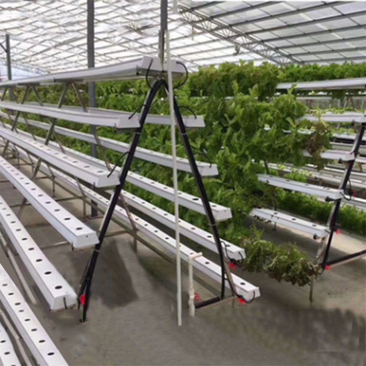 Cheap Price Agricultural Automated Pvc Tunnel Plastic Hydroponic for Tomato Greenhouse