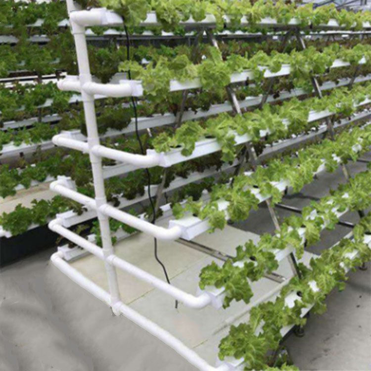 Cheap Price Agricultural Automated Pvc Tunnel Plastic Hydroponic for Tomato Greenhouse