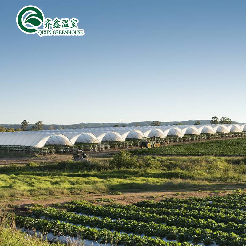Vertical Hydroponic PVC Channel Nft Pipe Systems For Greenhouse Agriculture