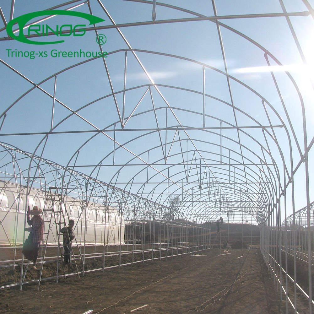 Low cost agricultural greenhouse for tomato