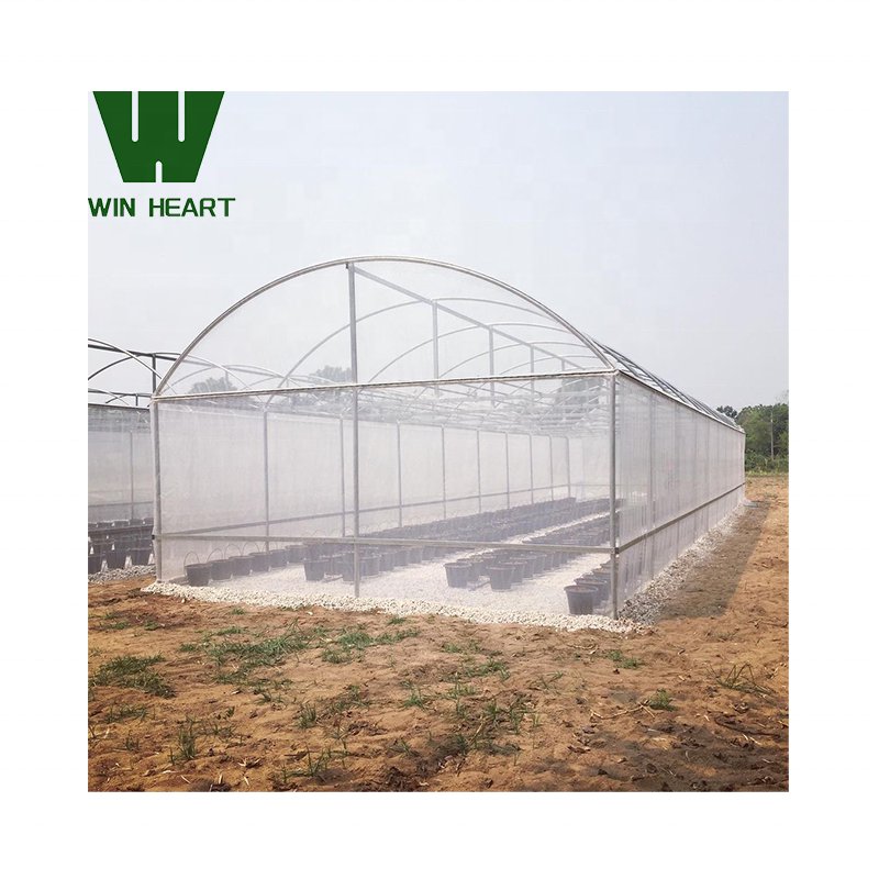 Turnkey Projects Agricultural Tomato Hydroponics invernadero Green Houses