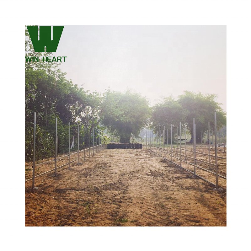 Turnkey Projects Agricultural Tomato Hydroponics invernadero Green Houses