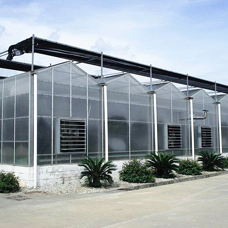 Agricultural Polycarbonate greenhouse 8mm PC serre agricole for sale