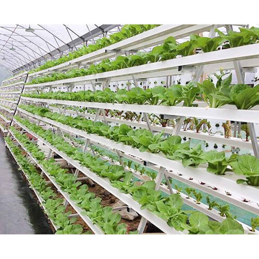 Vertical NFT hydroponic aquaponic system for commercial agricultural greenhouse