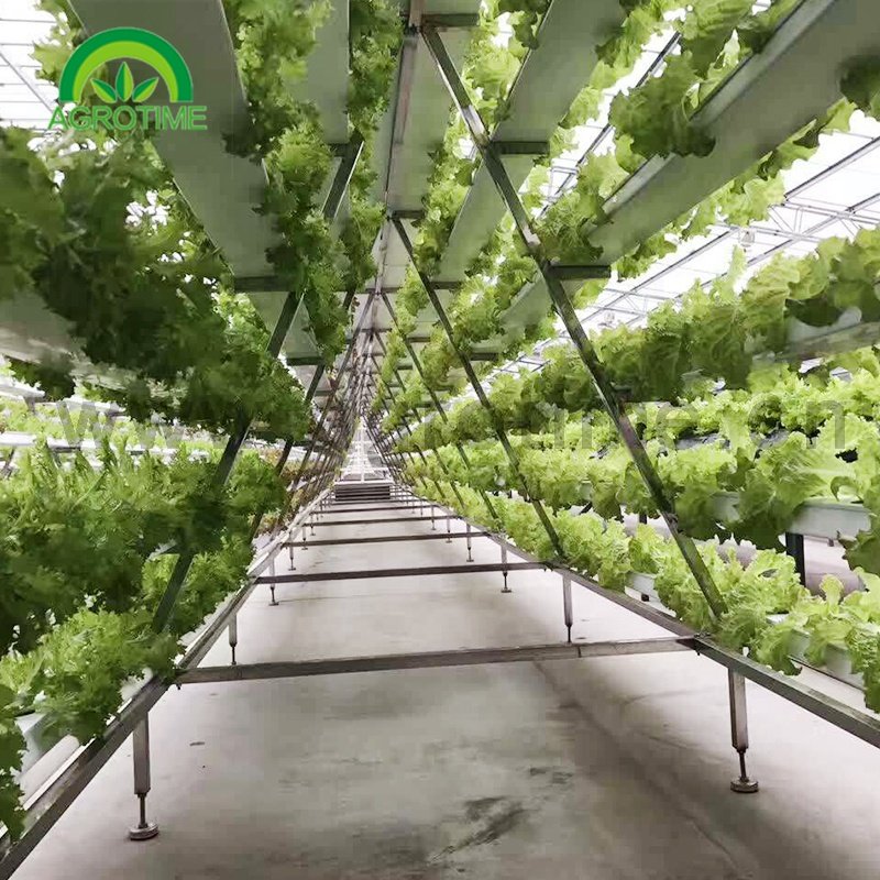 Vertical NFT hydroponic aquaponic system for commercial agricultural greenhouse