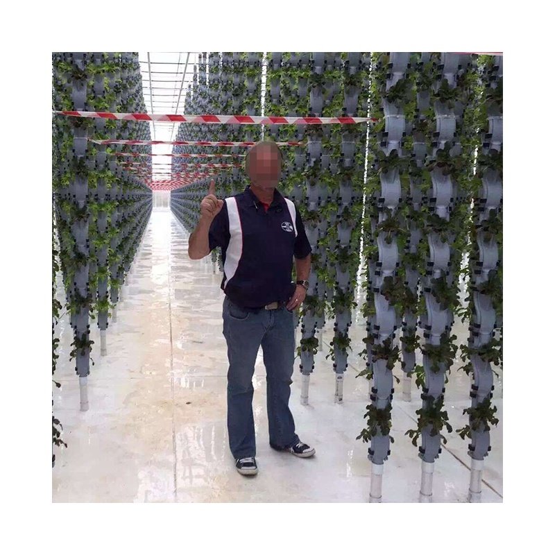 Vertical NFT hydroponic aquaponic system for commercial agricultural greenhouse