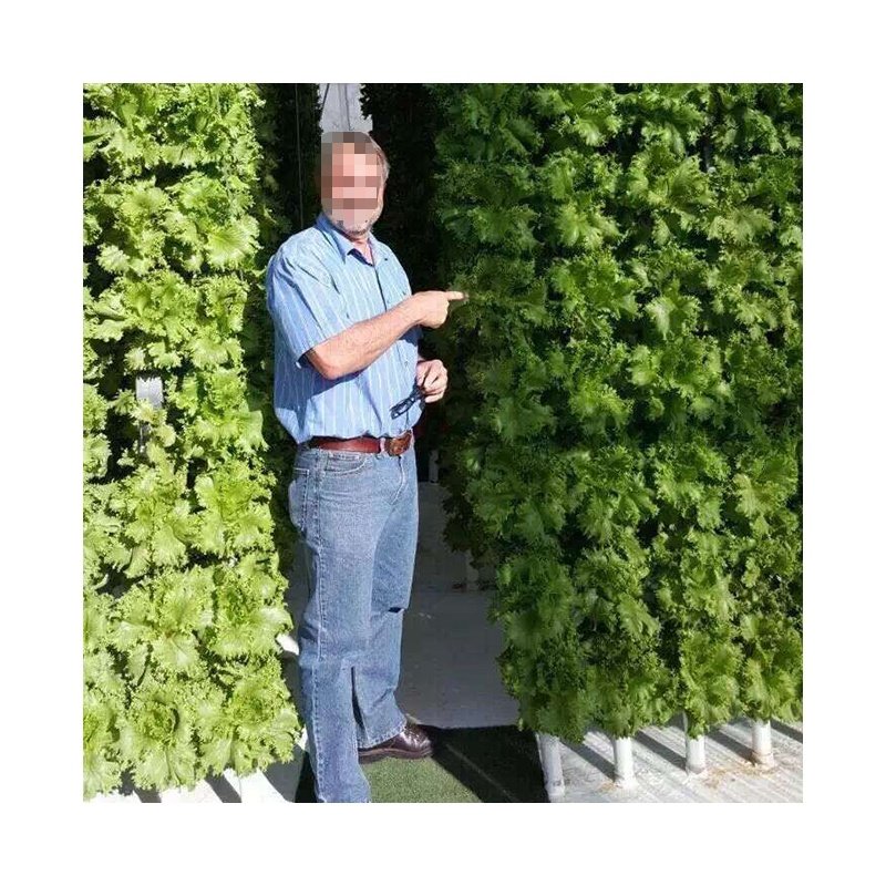 Vertical NFT hydroponic aquaponic system for commercial agricultural greenhouse