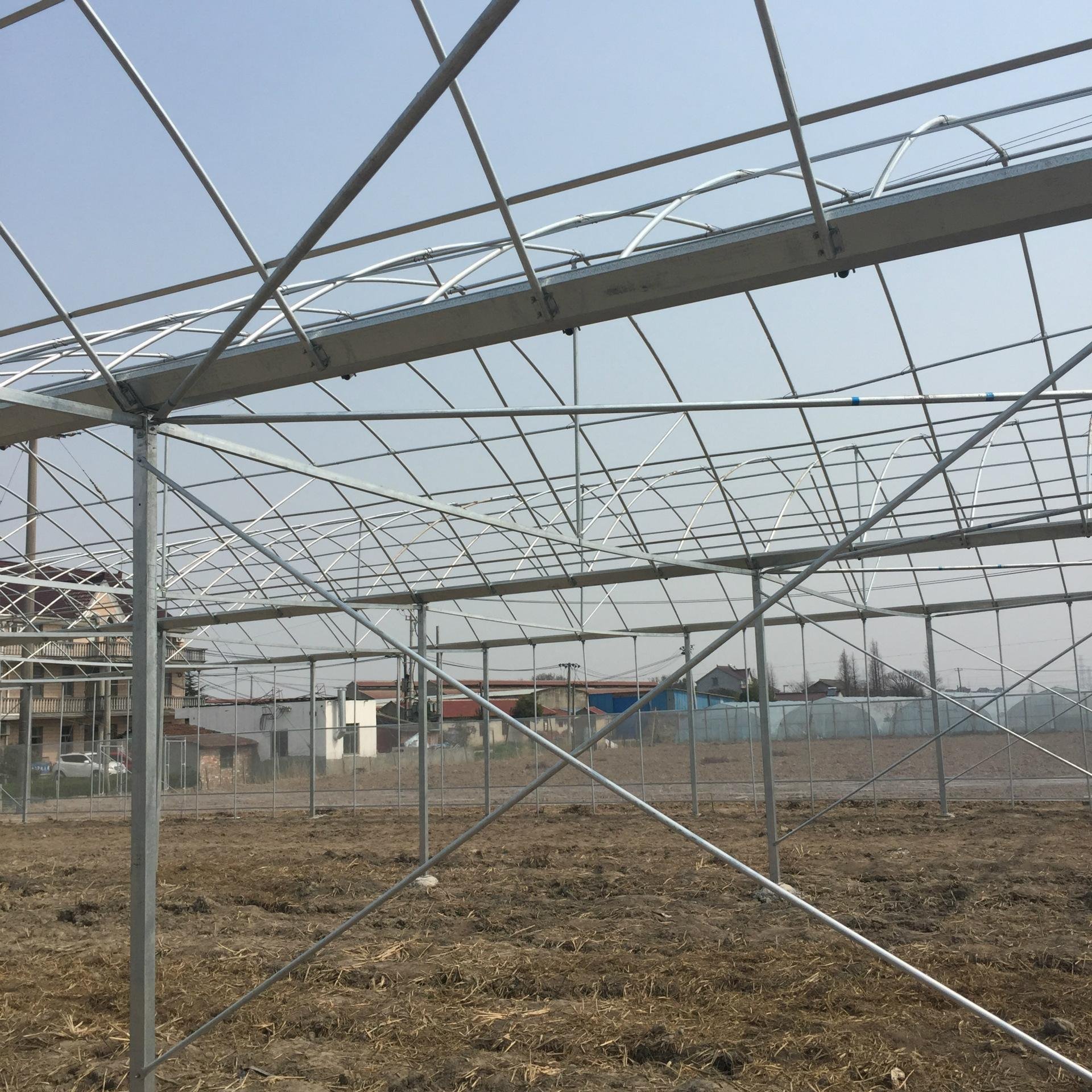 Single Span Wholesale professional agricultural tunnel greenhouse
