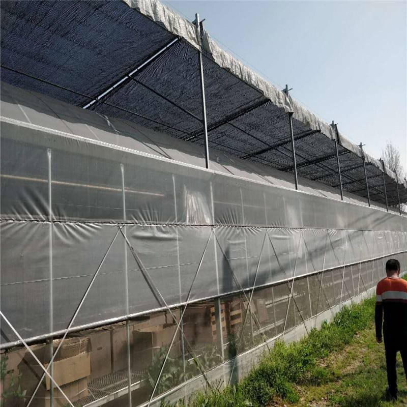 Single Span Wholesale professional agricultural tunnel greenhouse