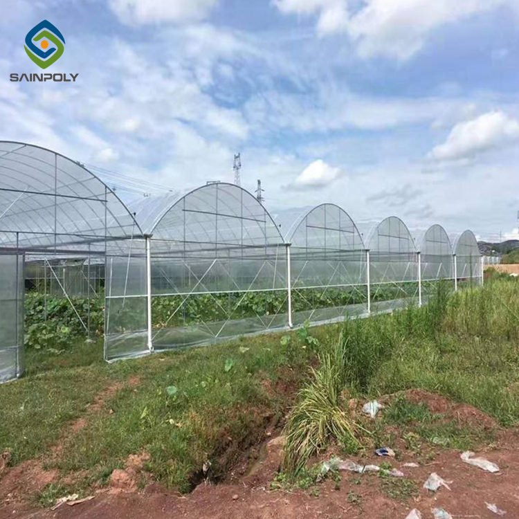 Sainpoly Hot Sale Plastic Film Greenhouse Steel Frame For Agriculture High Quality