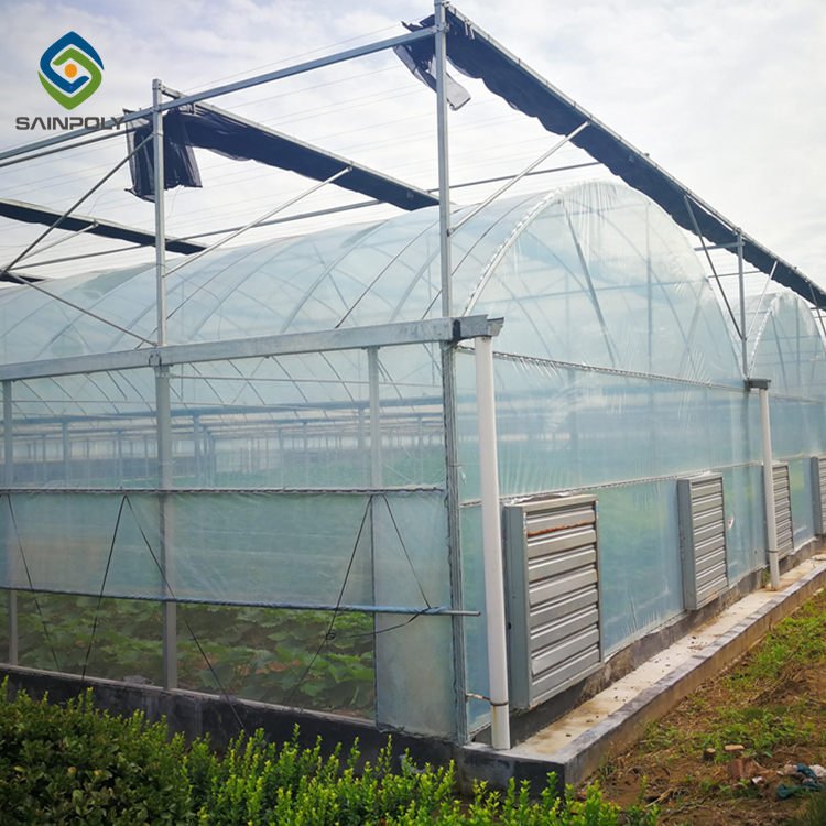 Sainpoly Hot Sale Plastic Film Greenhouse Steel Frame For Agriculture High Quality