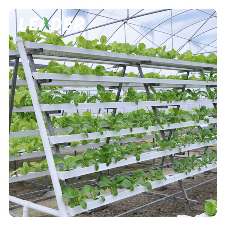 Agricultural greenhouse 100x100 hydroponic food grade PVC NFT rectangular channel plastic gully for lettuce