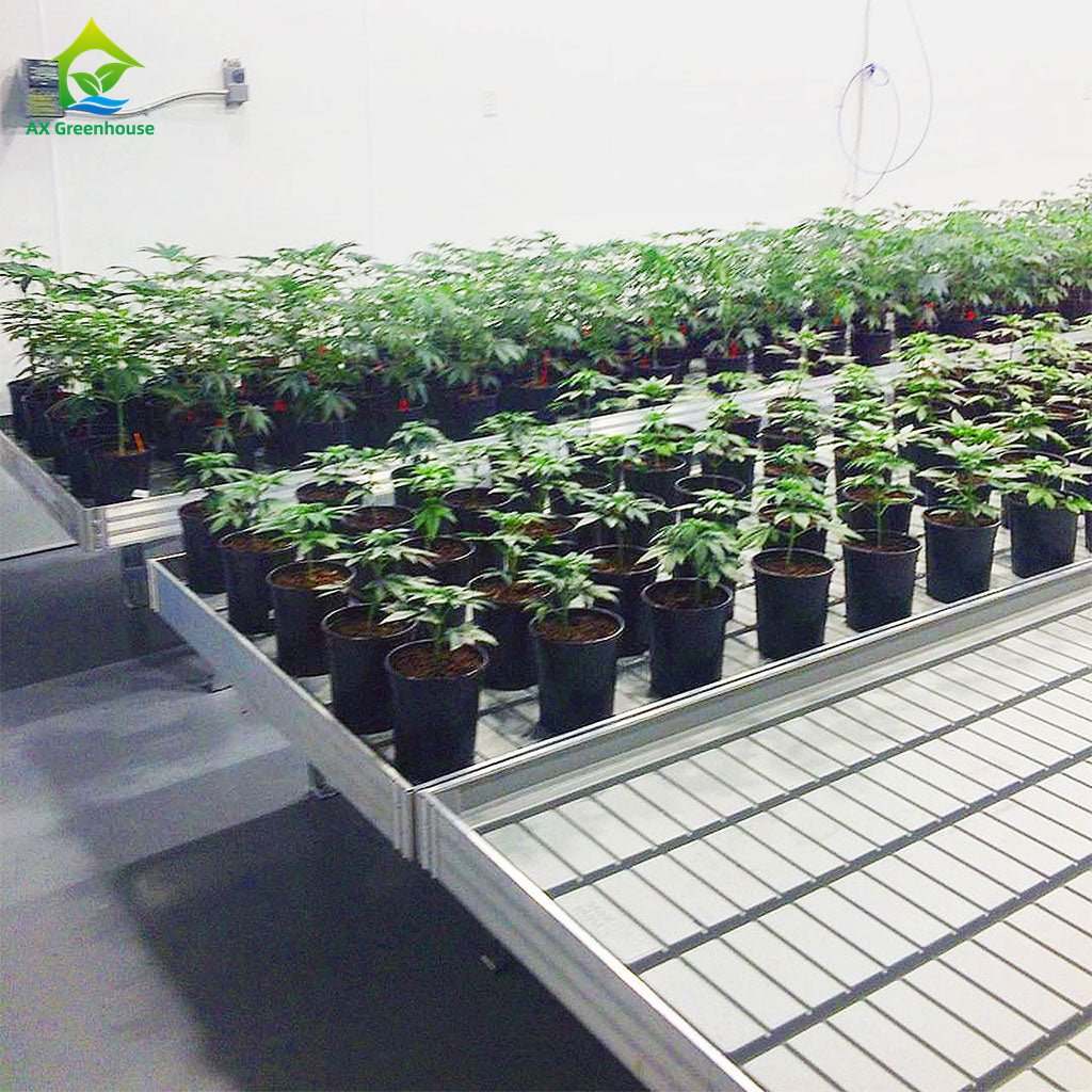 Nursery Equipment Movable Ebb Hydroponic Grow System Seedbed Plant Rolling Bench Growing Table