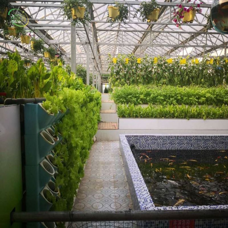 Cheap intelligent agriculture multi-span glass greenhouse hydroponic greenhouse
