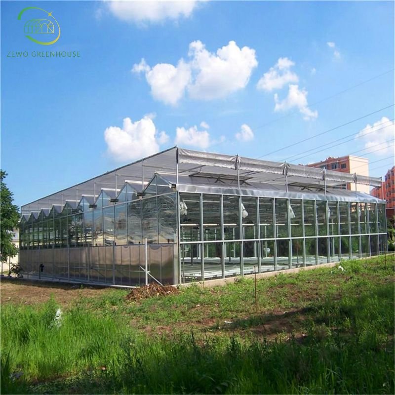 Cheap intelligent agriculture multi-span glass greenhouse hydroponic greenhouse