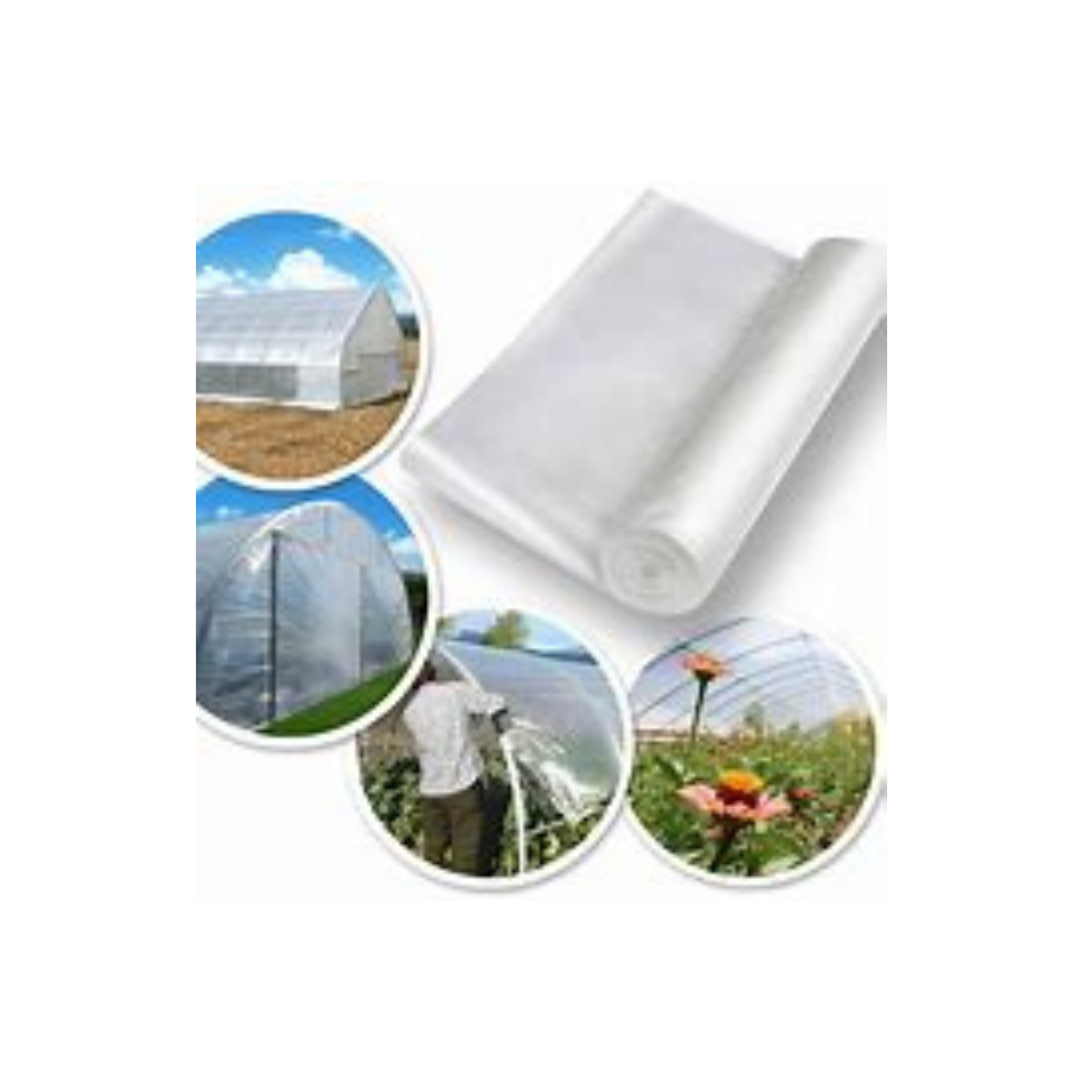 Plastic Film Agricultural Greenhouse Anti Fog/ Heat Resistance 100 to 200 Mic T&T Packaging Supplier VietNam