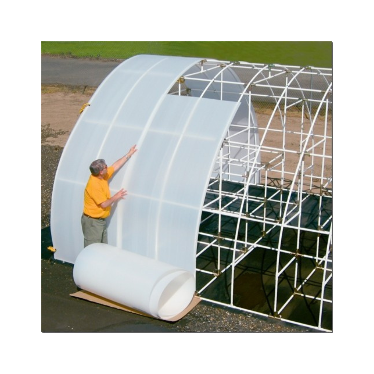 Plastic Film Agricultural Greenhouse Anti Fog/ Heat Resistance 100 to 200 Mic T&T Packaging Supplier VietNam