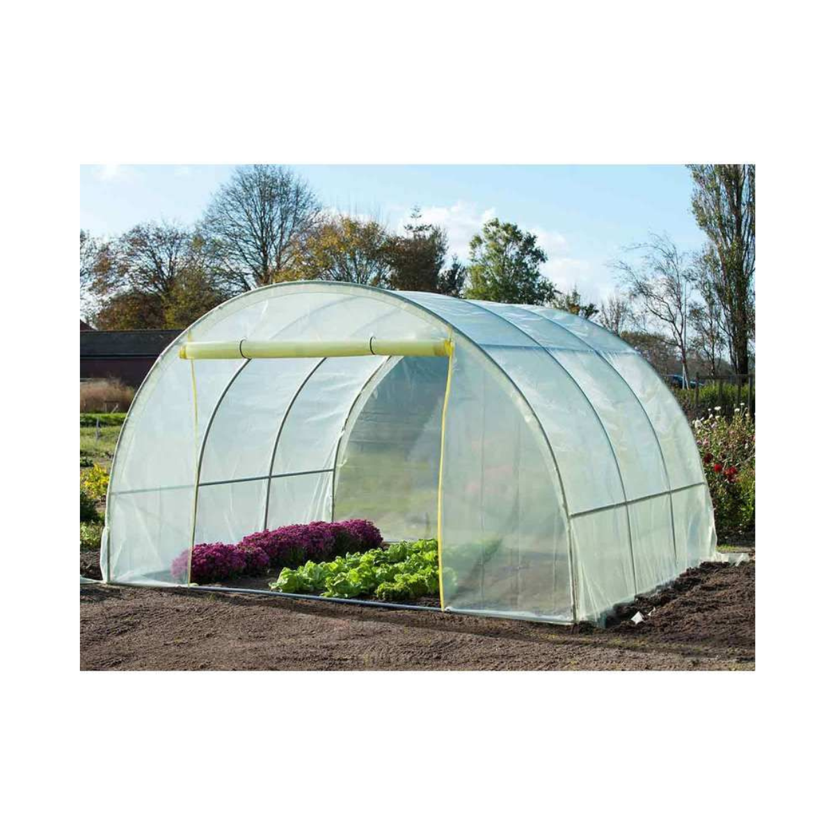 Plastic Film Agricultural Greenhouse Anti Fog/ Heat Resistance 100 to 200 Mic T&T Packaging Supplier VietNam