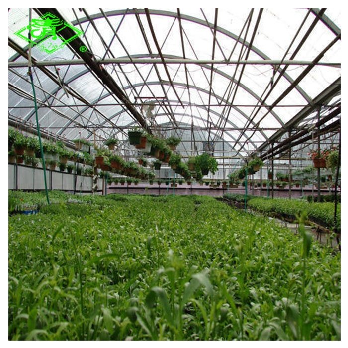 Hot sale UV-protection plastic sheed 3-5 layers clear anti-fog plastic film covering greenhouse