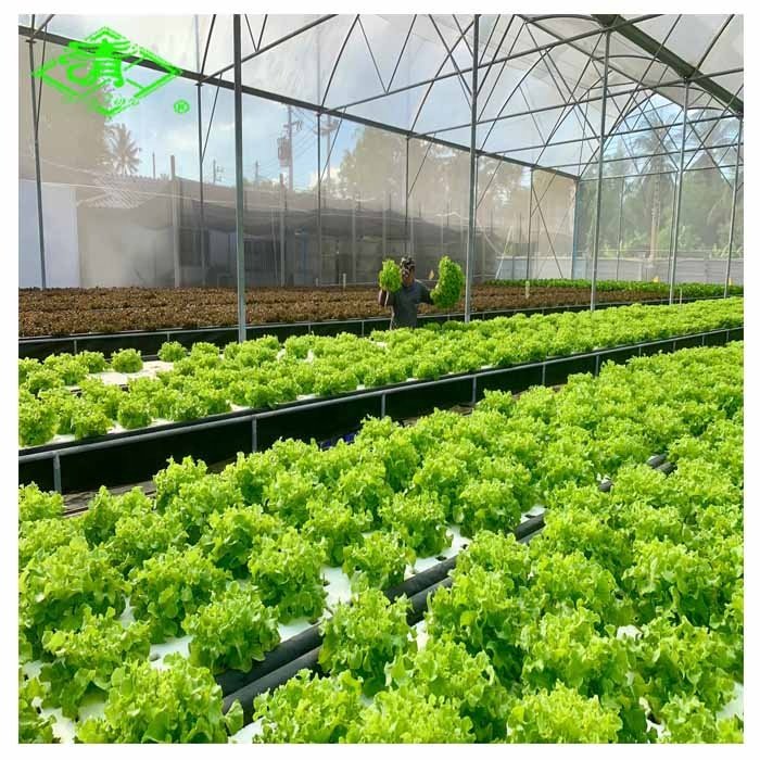 Hot sale UV-protection plastic sheed 3-5 layers clear anti-fog plastic film covering greenhouse