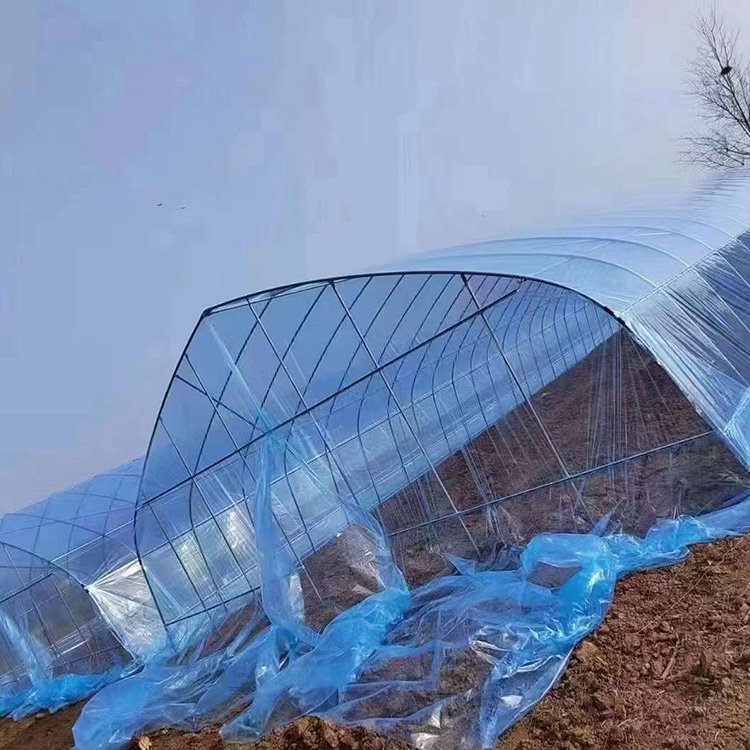 UV-Resistant Covering Plastic Sheeting Hoop Anti-Drip Plastic Polyethylene Greenhouse Film For Seedlings Farmland Irrigation