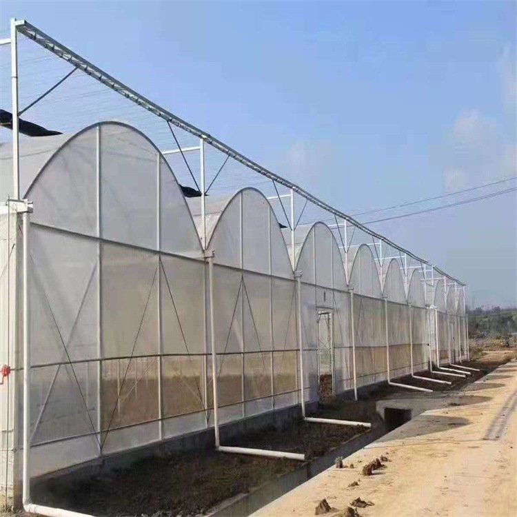 Aluminium Greenhouse Agricultural Poly Greenhouses Garden Plastic from China Film Large Fruit for Tables Large Flower Tray