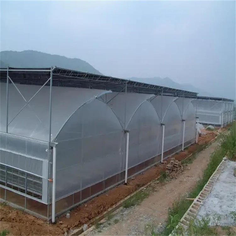 Aluminium Greenhouse Agricultural Poly Greenhouses Garden Plastic from China Film Large Fruit for Tables Large Flower Tray