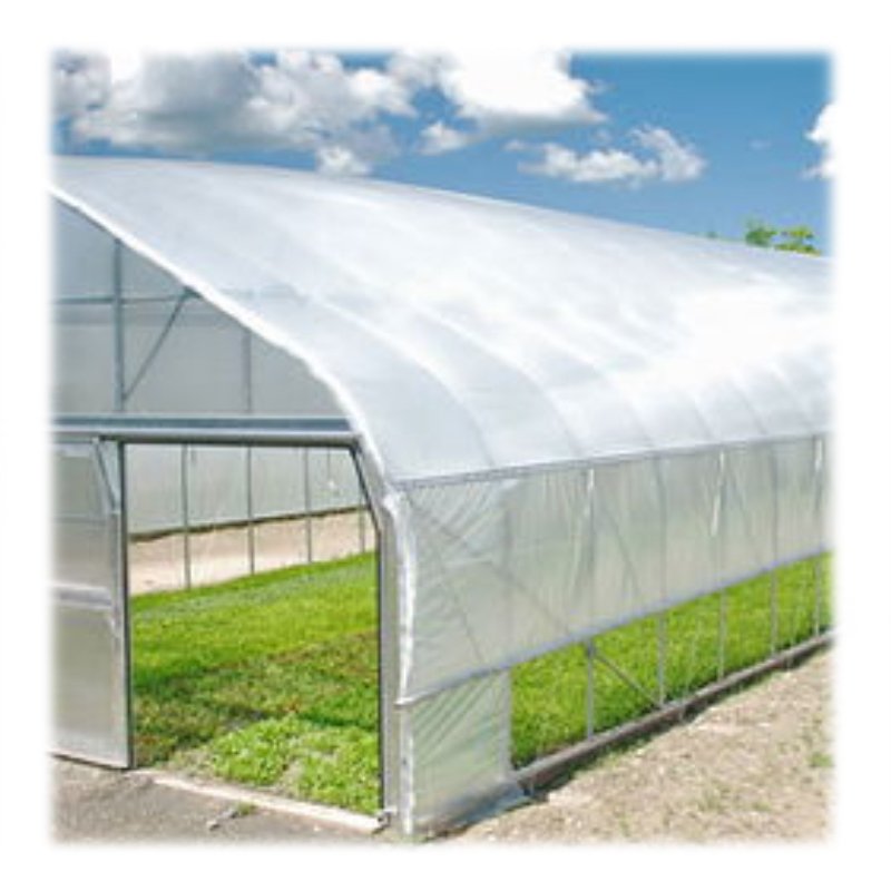 Agriculture Tomato Greenhouse Frames Plastic Film Single Span Tunnel Greenhouses For Plant