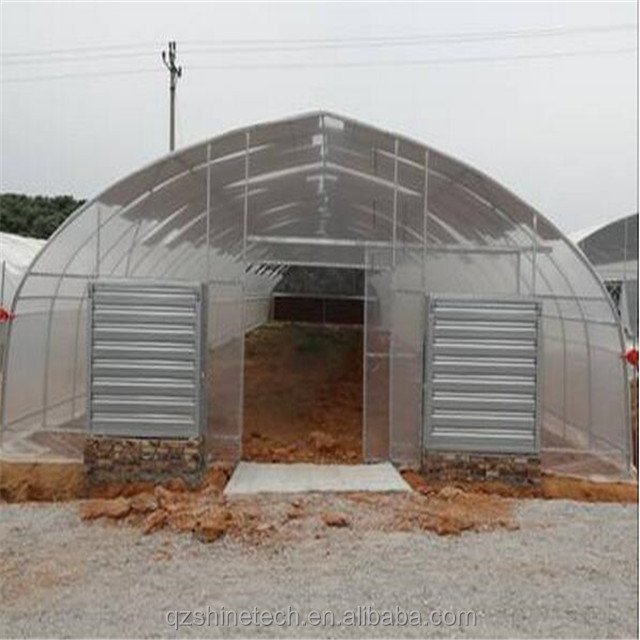 Easy Assembled Commercial Tunnel Single Span Green Houses For Tomato Agriculture Greenhouse Made in China