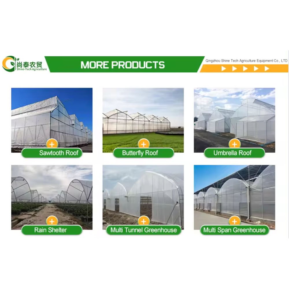 Easy Assembled Commercial Tunnel Single Span Green Houses For Tomato Agriculture Greenhouse Made in China