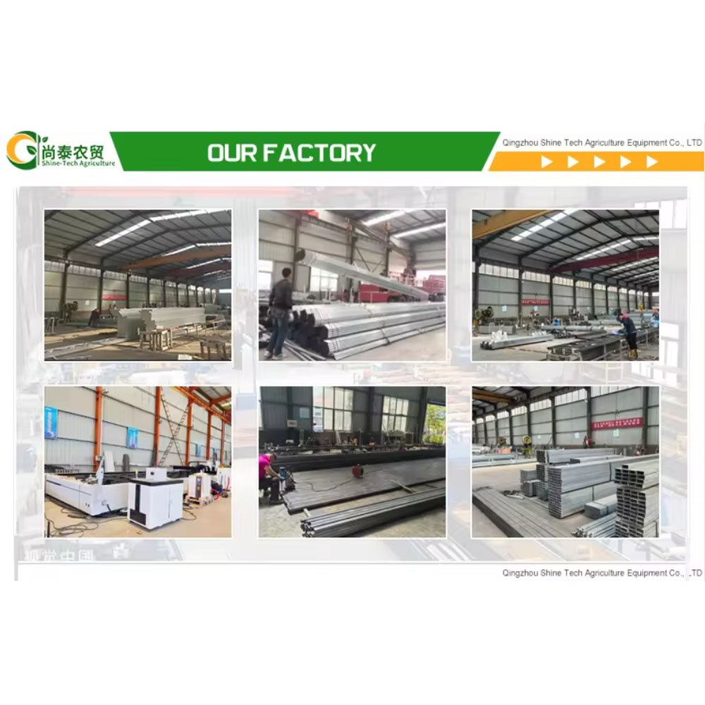 Easy Assembled Commercial Tunnel Single Span Green Houses For Tomato Agriculture Greenhouse Made in China