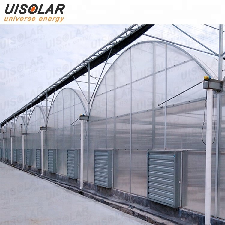 Hot product Galvanized steel structure agricultural pe film greenhouse