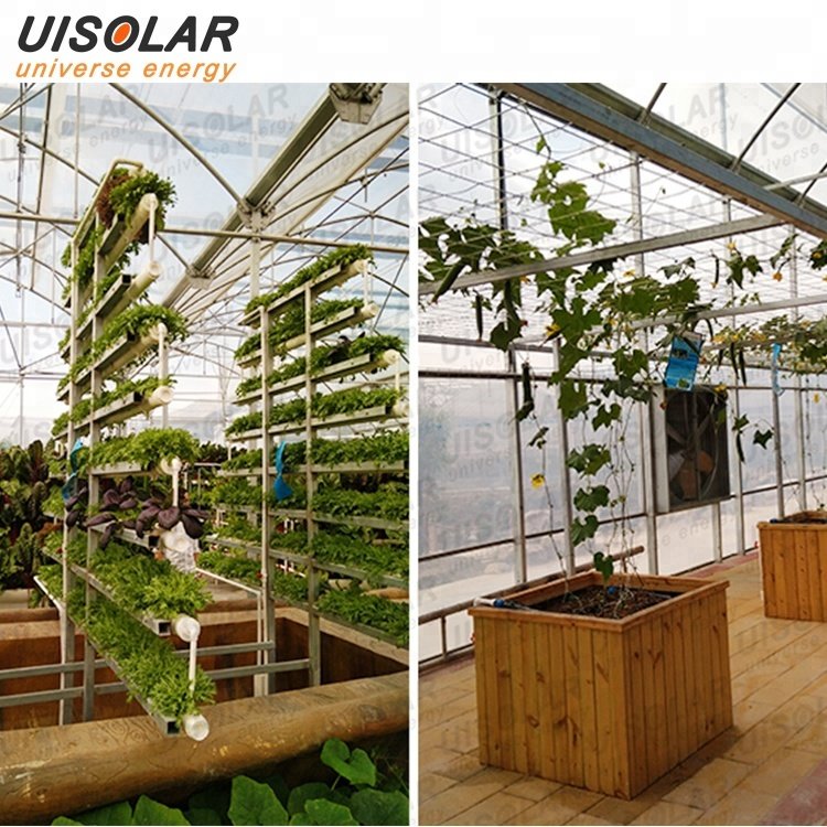 Hot product Galvanized steel structure agricultural pe film greenhouse
