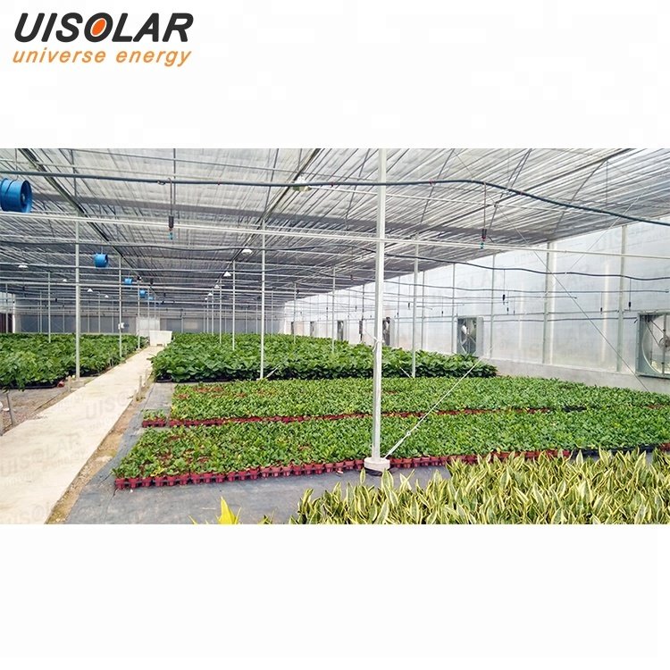 Hot product Galvanized steel structure agricultural pe film greenhouse