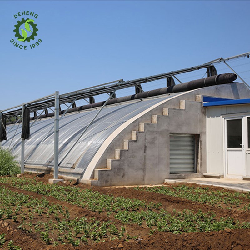 Hot Style Small Agricultural Greenhouse Warm Quilt Cold Winter Passive Solar Plant Growth Greenhouse For Vegetable Garden