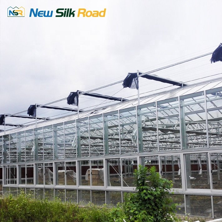 Large Multi-Span Agricultural Polycarbonate Greenhouse Turnkey Project with Steel Frame Galvanized PE Cover Glass Sheet for Sale
