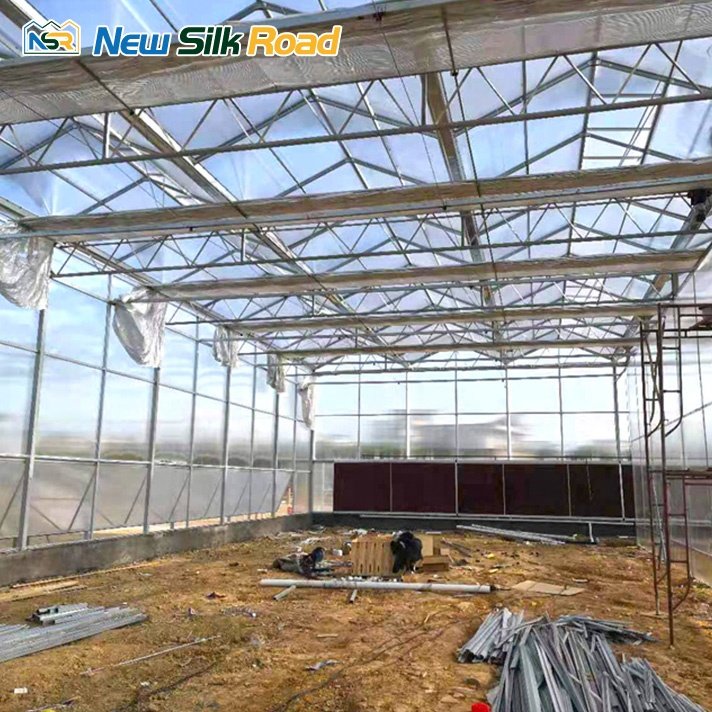 Large Multi-Span Agricultural Polycarbonate Greenhouse Turnkey Project with Steel Frame Galvanized PE Cover Glass Sheet for Sale
