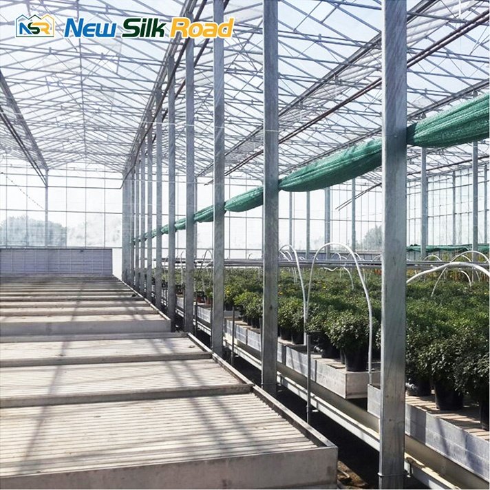 Large Multi-Span Agricultural Polycarbonate Greenhouse Turnkey Project with Steel Frame Galvanized PE Cover Glass Sheet for Sale