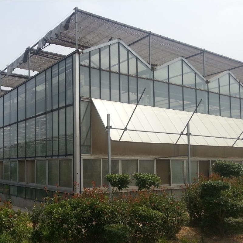 Hot Sale Climate Control Agricultural Green House Large Glass Greenhouse For Sale