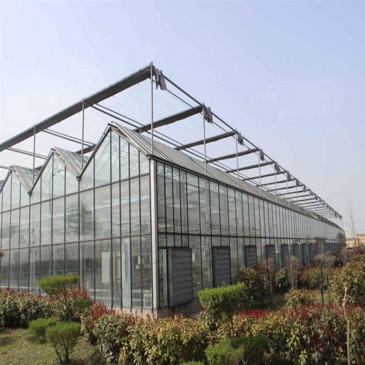 Hot Sale Climate Control Agricultural Green House Large Glass Greenhouse For Sale