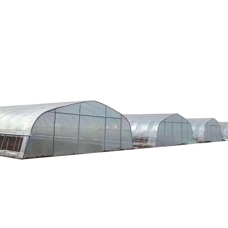 Film Tunnel Greenhouse Construction Agricultural Single-Span Greenhouses