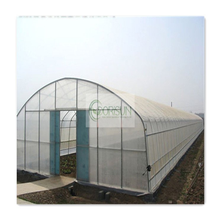 Chinese Style Mini Plant Gardening Tunnel Warm Greenhouse Tomato Plant Gardening Greenhouse For Snail Farming