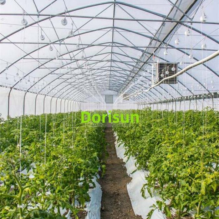 Chinese Style Mini Plant Gardening Tunnel Warm Greenhouse Tomato Plant Gardening Greenhouse For Snail Farming