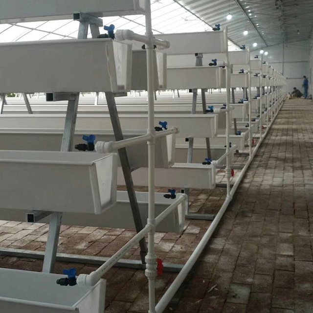 growing system in greenhouse for strawberry growing systems hydroponic greenhouse low cost VERTIC TOMATO