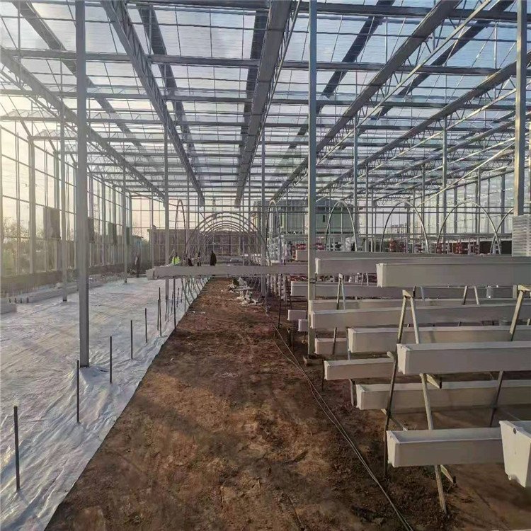 growing system in greenhouse for strawberry growing systems hydroponic greenhouse low cost VERTIC TOMATO