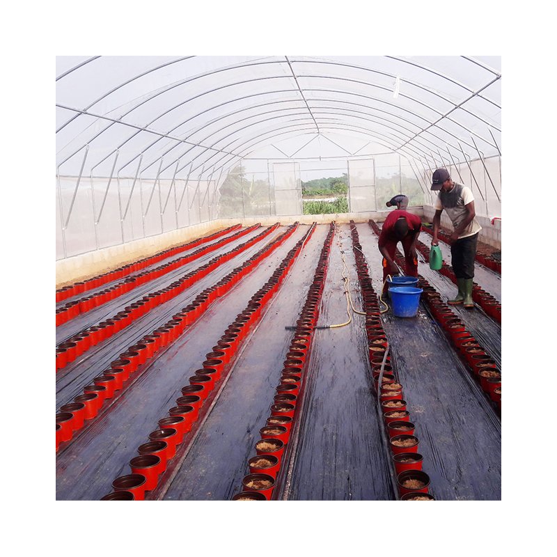 Garden Supplies Weed/Grass Control Mat Ground Cover/Fabric Mulching Weed Brrier Fabric for Greenhouses