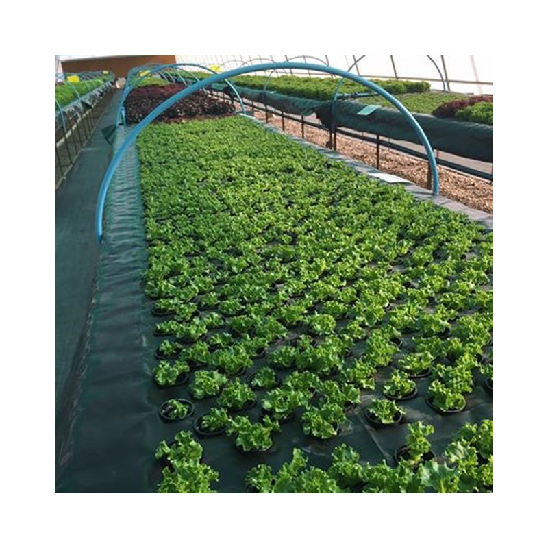 Garden Supplies Weed/Grass Control Mat Ground Cover/Fabric Mulching Weed Brrier Fabric for Greenhouses