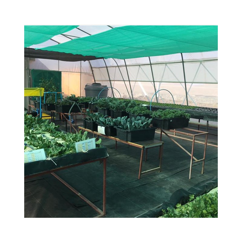 Garden Supplies Weed/Grass Control Mat Ground Cover/Fabric Mulching Weed Brrier Fabric for Greenhouses